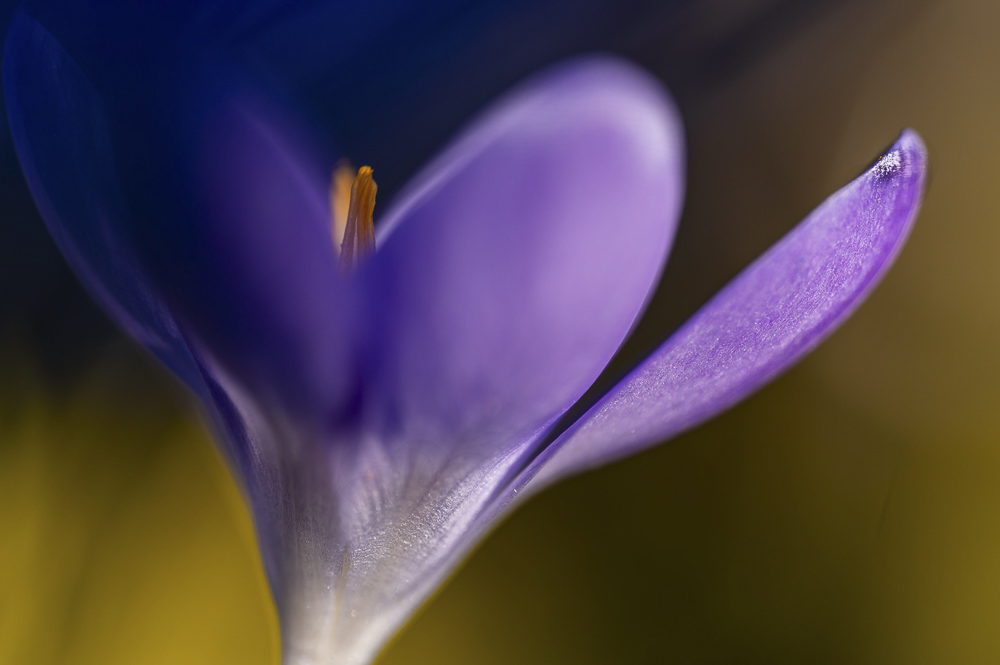 Platz 2 Christian Reichert